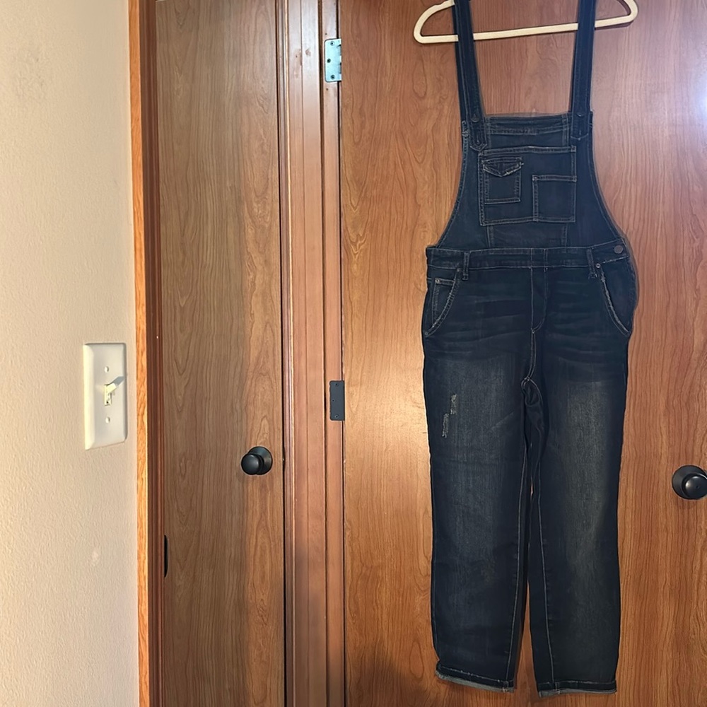 Free People Overalls